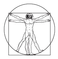 vitruvian