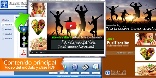 aula virtual del curso sobre nutricion consciente